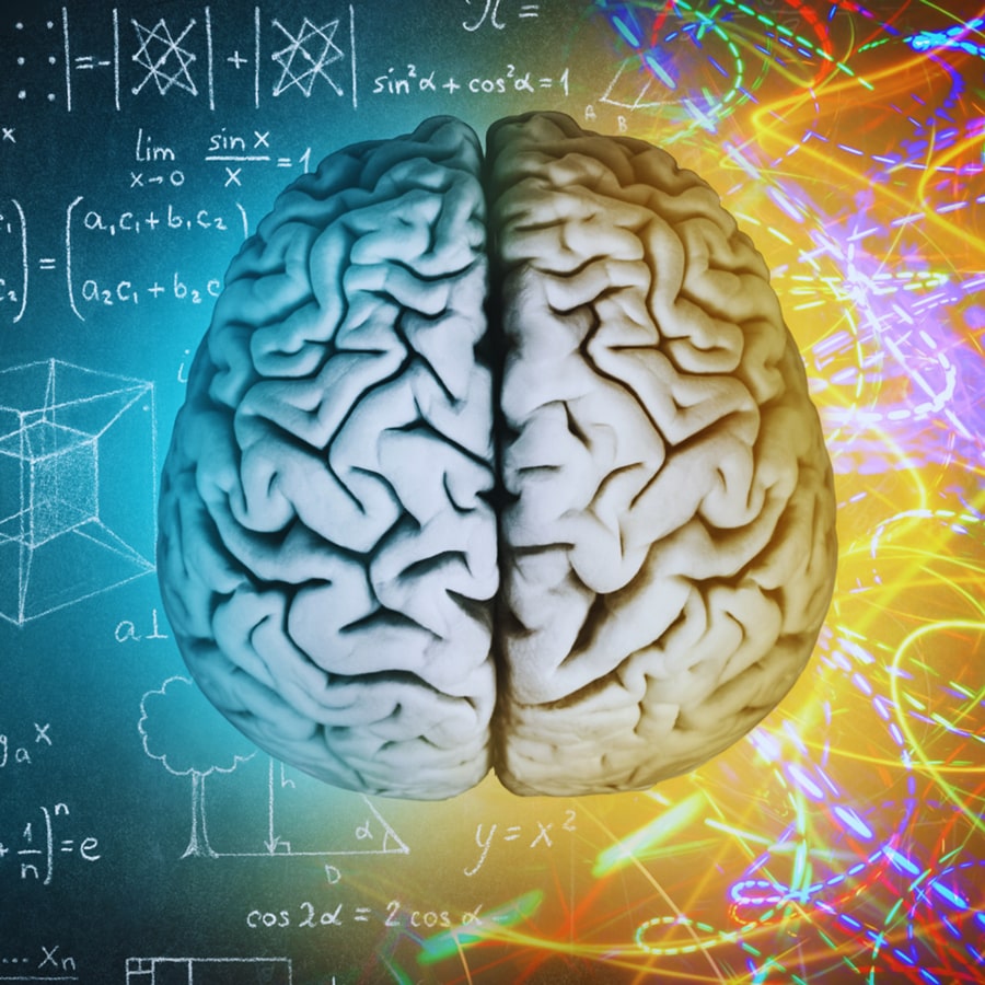 Allena il Genio è un programma di allenamento creativo.