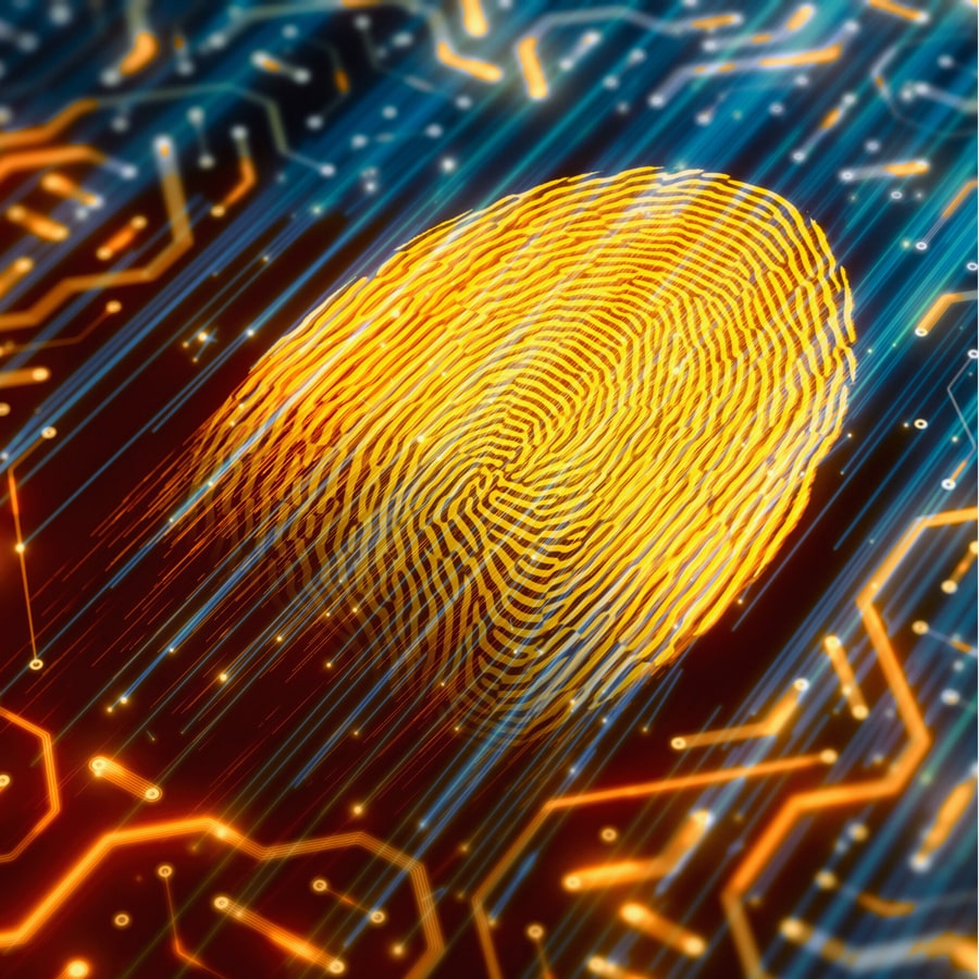 Allena il Genio è un programma di allenamento creativo.